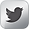Twitter Metallic